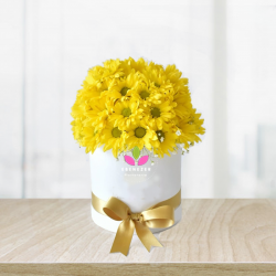 Cilindro de margaritas amarillas -  Flores amarillas